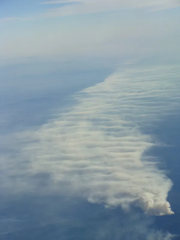 One wildfire outside San Francisco, fanning out into a cloud cover of smoke.