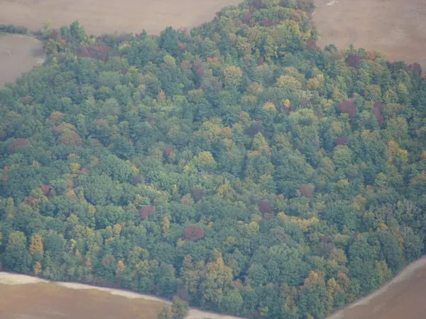 Beautiful palette of autumn colors: Indian Summer in Toronto.